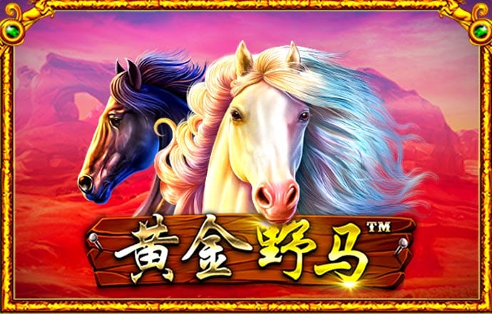 火孤体育网页登录